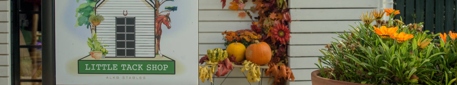 Little Tack Shop header image