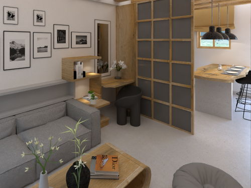  Project \"Corfu\"  image_2 
