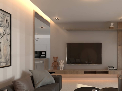  Project \"P\"  image_3 