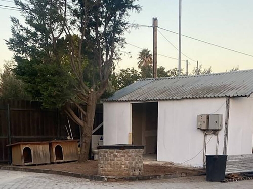  Little Tack Shop   image_10 