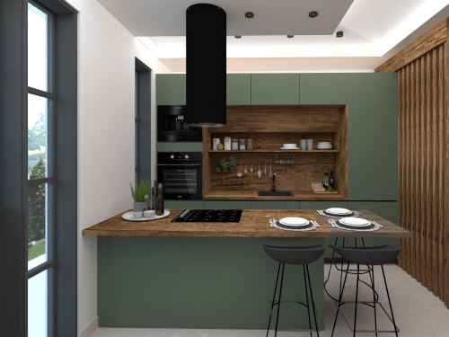  Project \"Corfu\"  image_6 