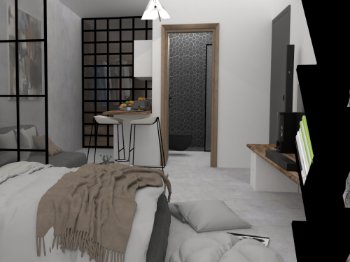 Project \"Aegina\"   image_4 