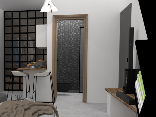  Project \"Aegina\"  image_3 